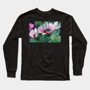 Gazania and Bud Long Sleeve T-Shirt